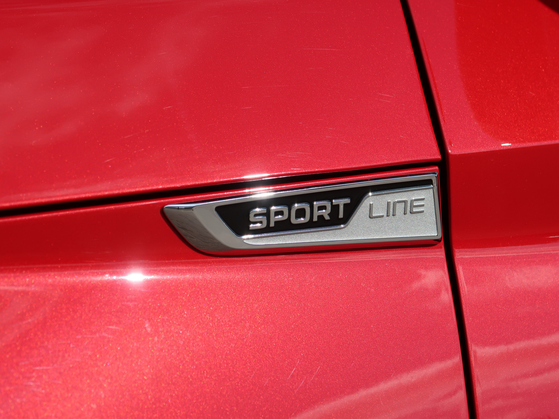 43514949-18.jpg